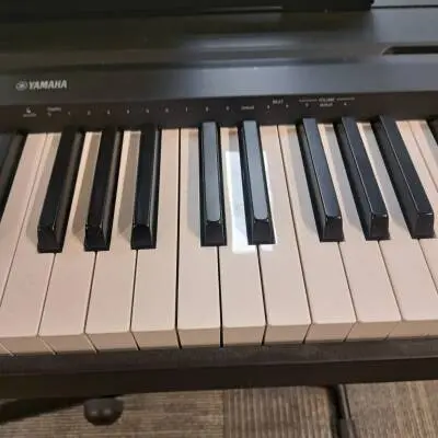 Store Special Product - Yamaha - P45 B